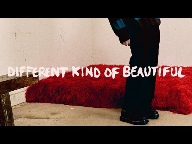 Different Kind Of Beautiful Lyrics