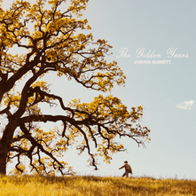 The Golden Years album cover