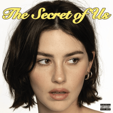 The Secret of Us album cover