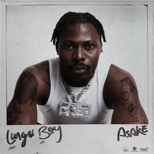 Lungu Boy album cover