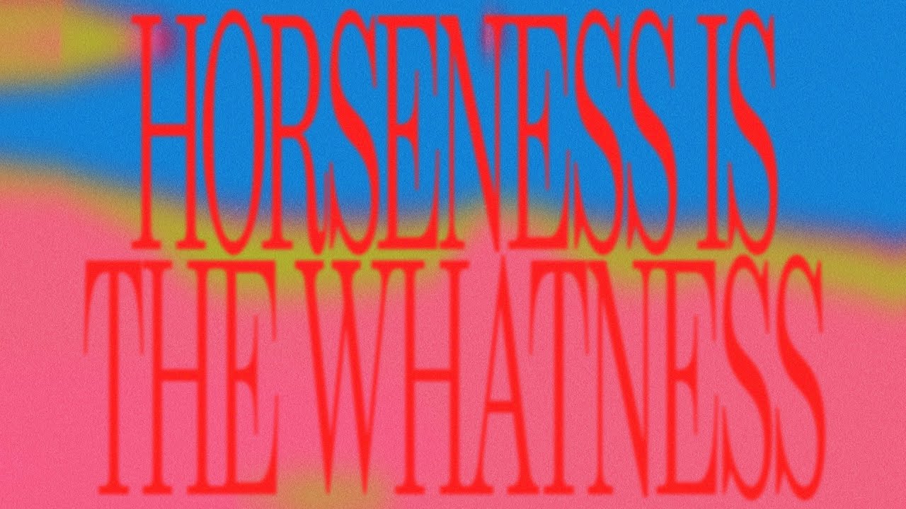 Horseness Is the Whatness Lyrics