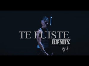 Te Fuiste (Remix) Lyrics