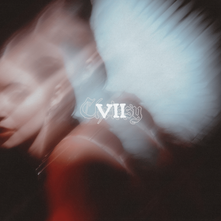 VII album cover
