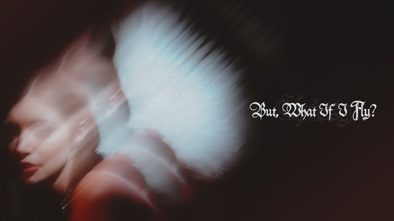 But, What If I Fly? Lyrics
