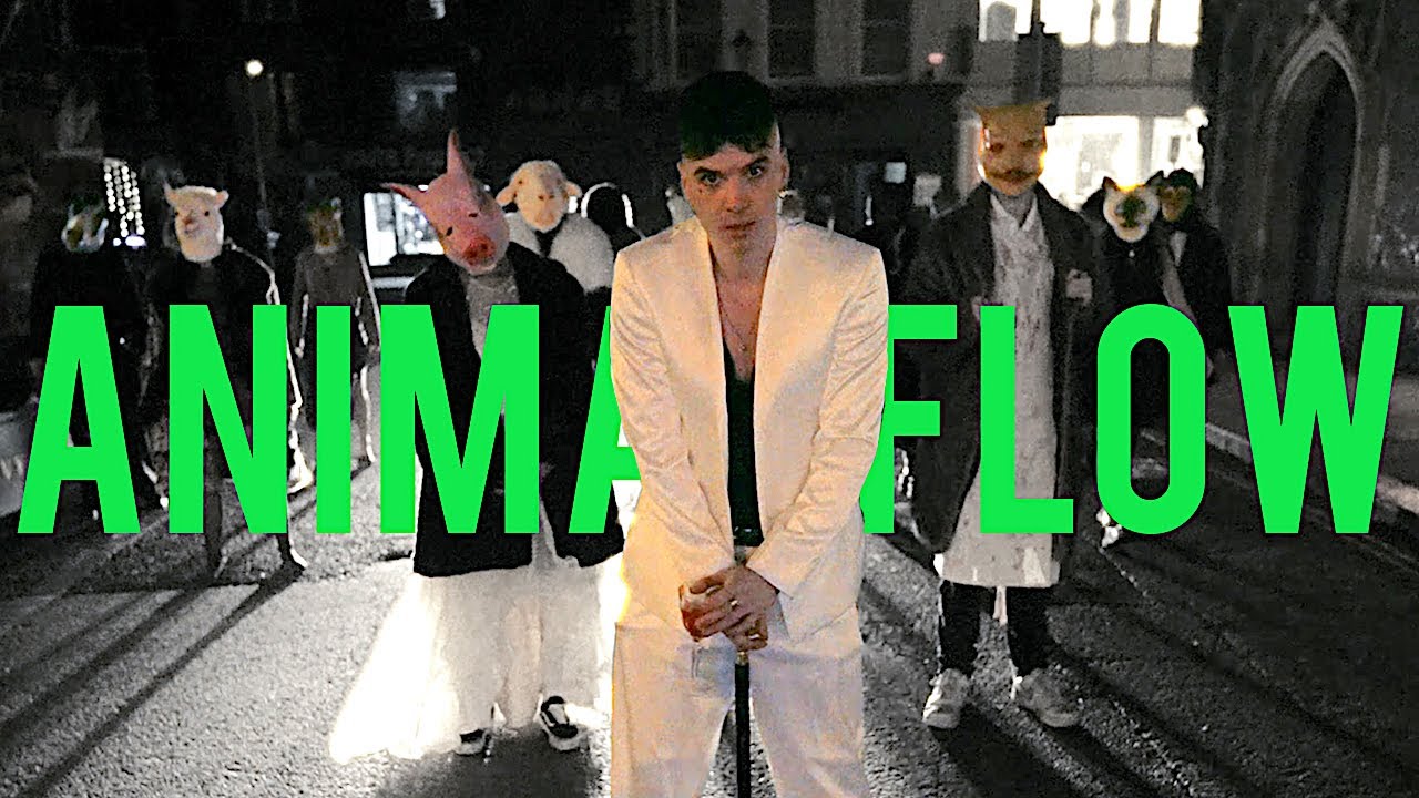 Animal Flow Lyrics