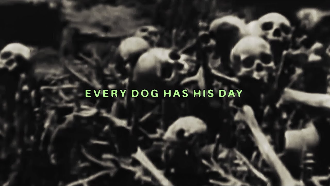Every Dog Has His Day Lyrics
