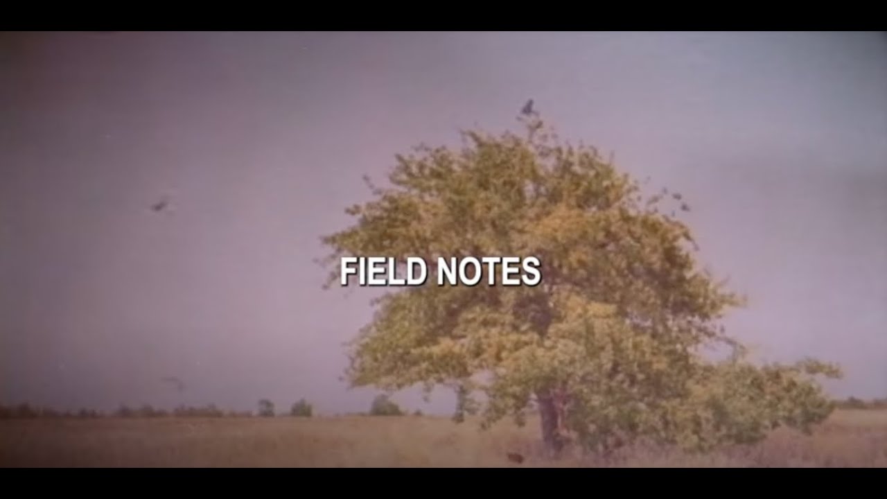 Field Notes Lyrics
