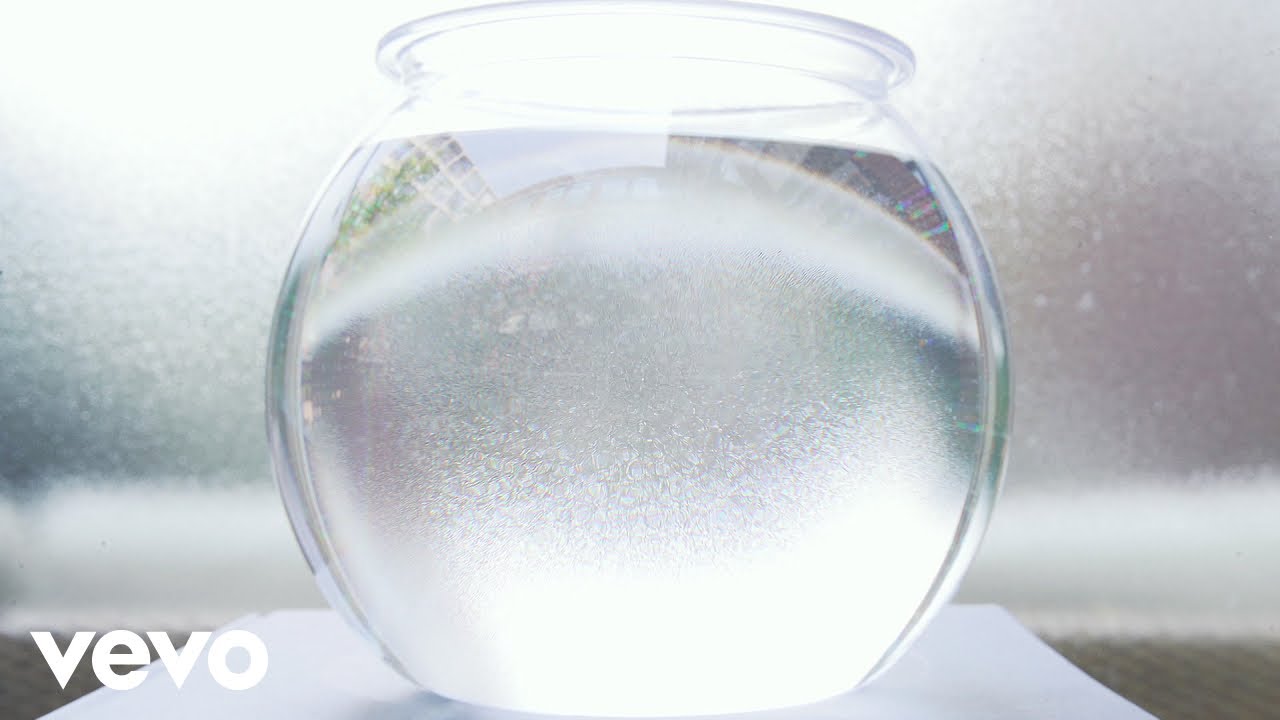 Fishbowl Lyrics