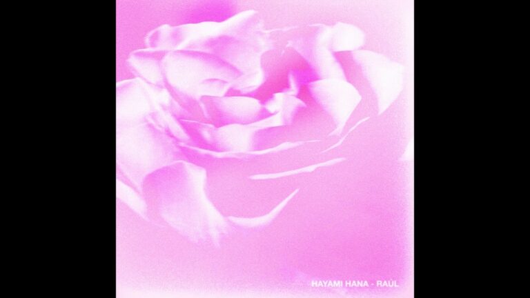 Hayami Hana Lyrics In English Translation