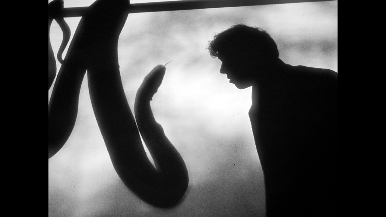 IF Only It Was Warmth Lyrics