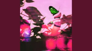 I’m On It Lyrics In English Translation