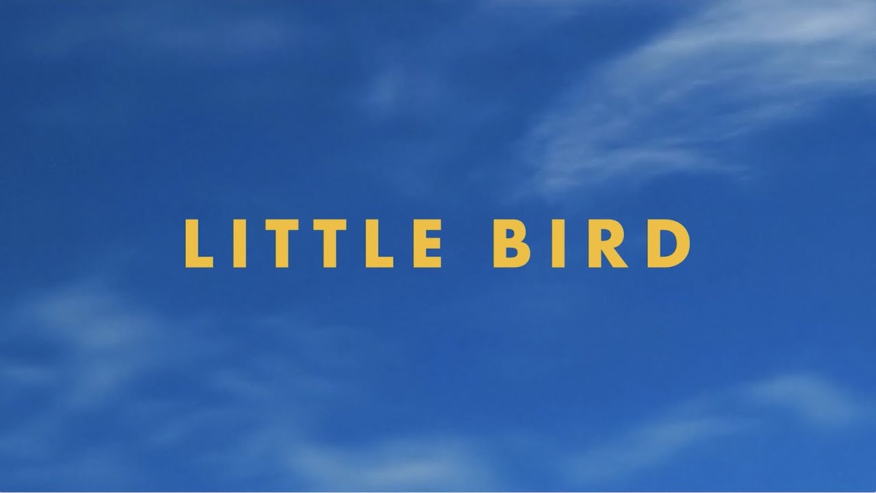 Little Bird Lyrics