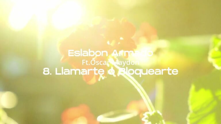 Llamarte o Bloquearte Lyrics In English Translation