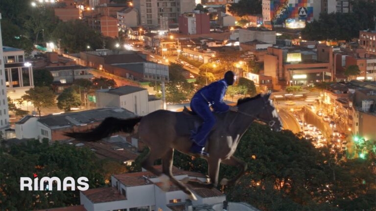PERRO NEGRO Lyrics In English Translation|