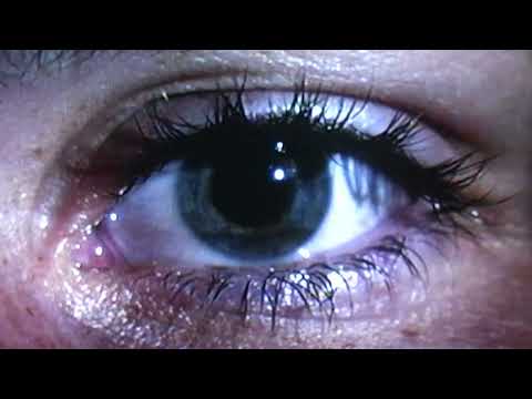 See The Light Lyrics