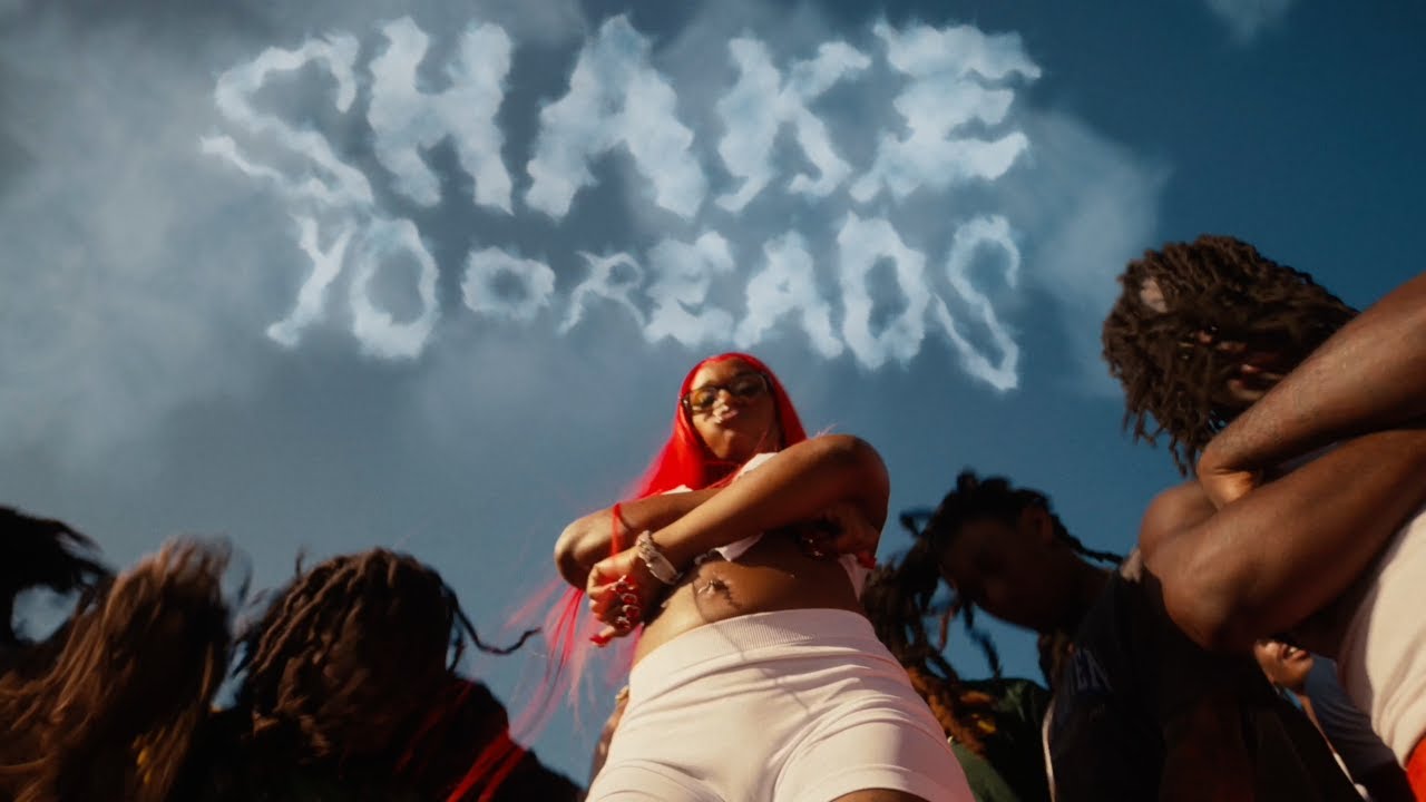 Shake Yo Dreads Lyrics|