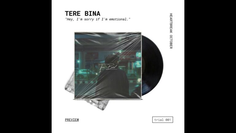 TERE BINA Lyrics