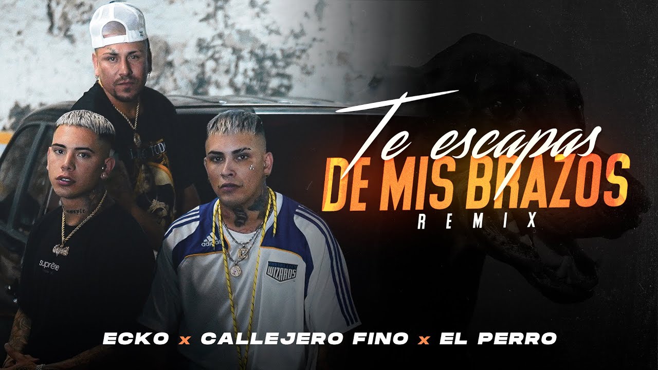 Te Escapas De Mis Brazos Remix Lyrics