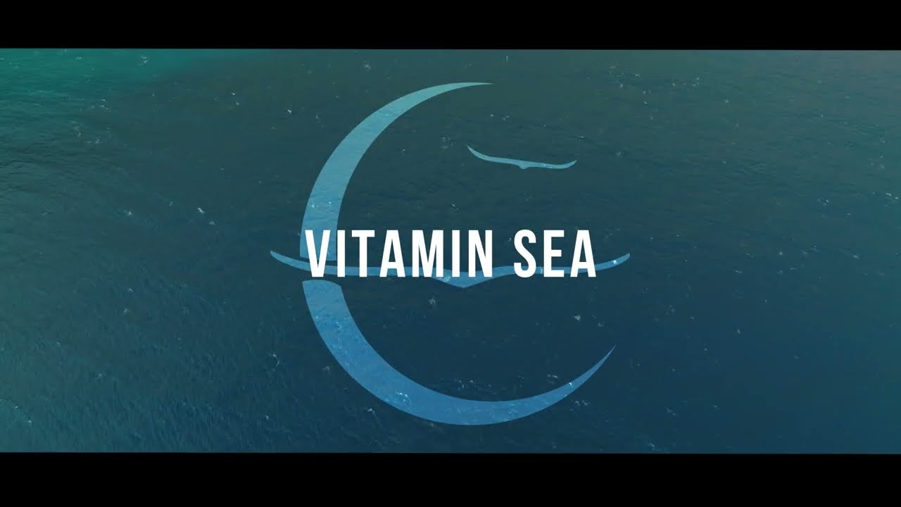 Vitamin Sea Lyrics