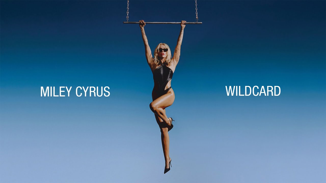 Wildcard Lyrics
