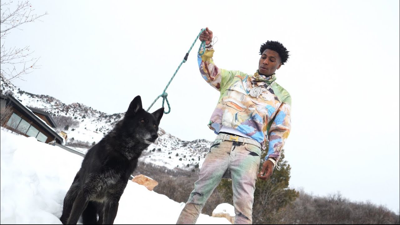 Wolf Cry Lyrics