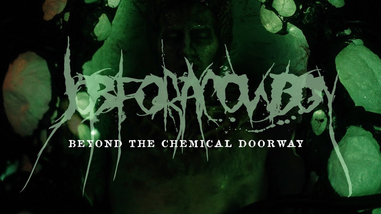 Beyond the Chemical Doorway Lyrics