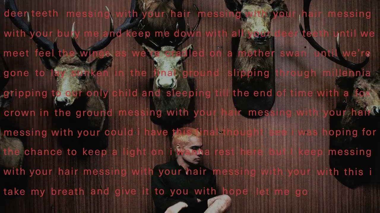 Deer Teeth Lyrics