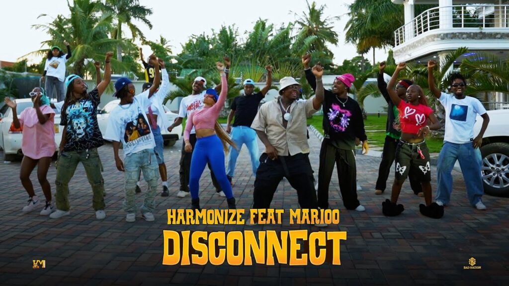 Disconnect  Lyrics