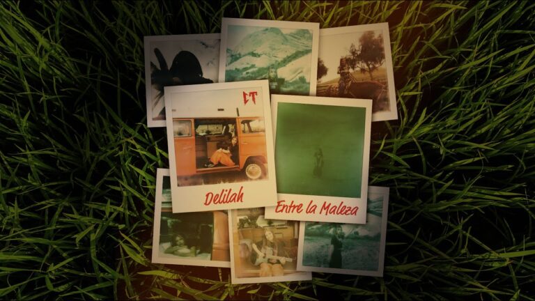 Entre La Maleza Lyrics