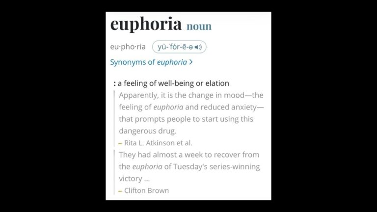 euphoria Lyrics