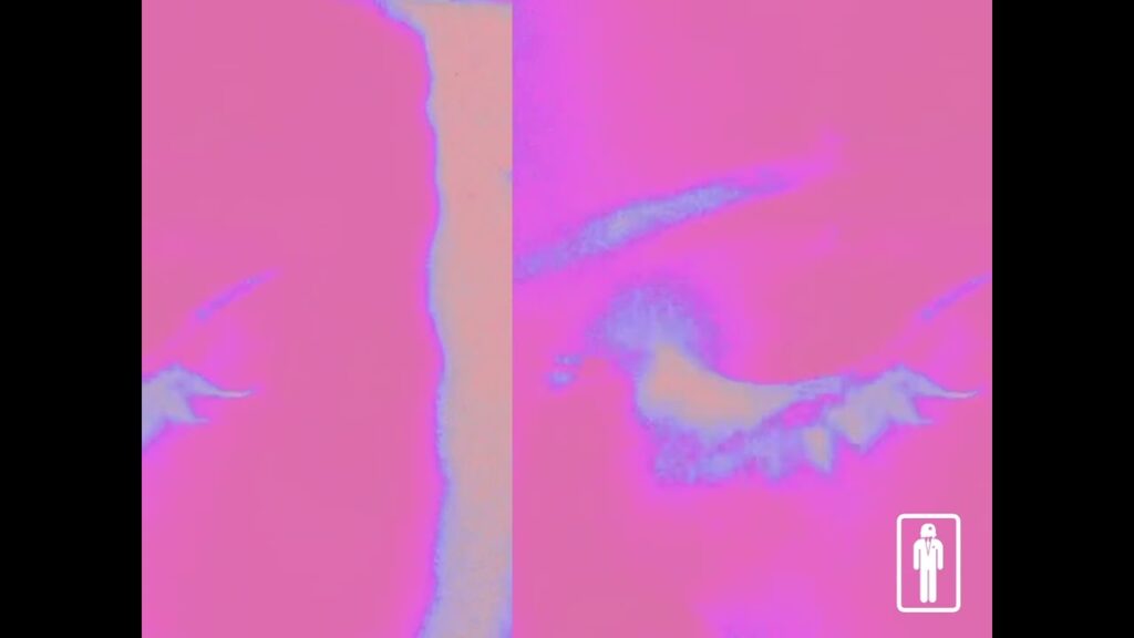 finsta Lyrics