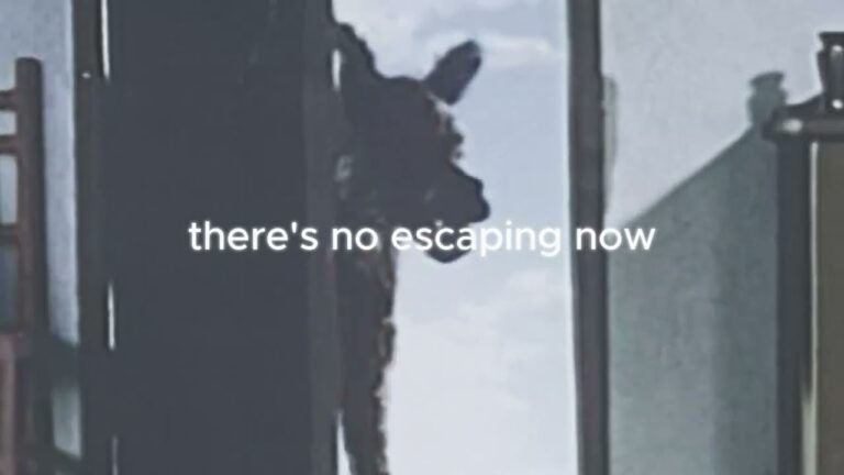 Howling at Wolves Lyrics