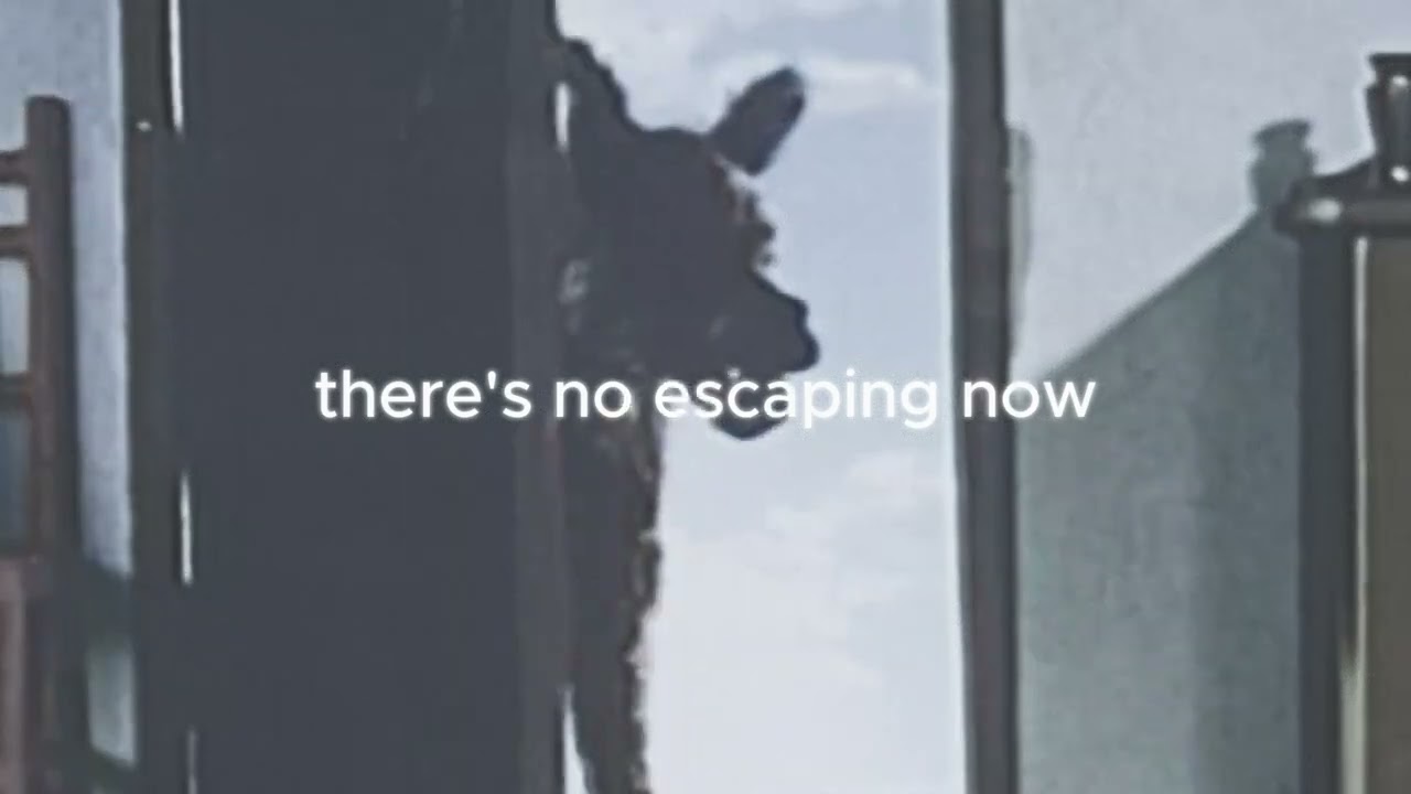 Howling at Wolves Lyrics