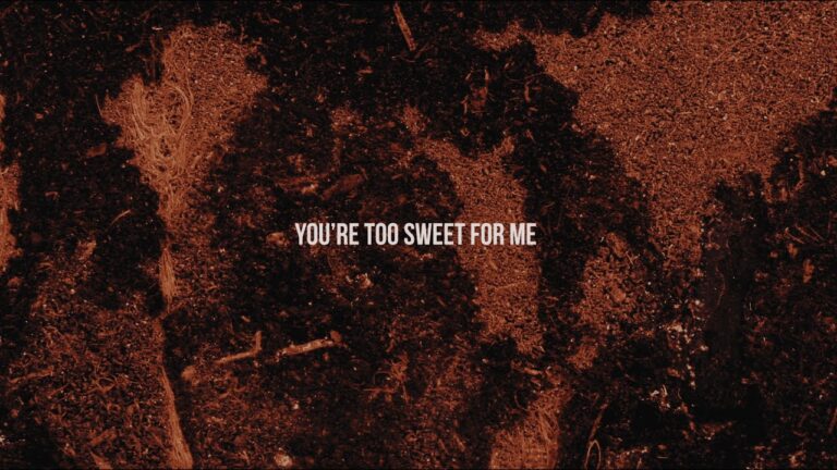 I’d rather take my whiskey neat lyrics