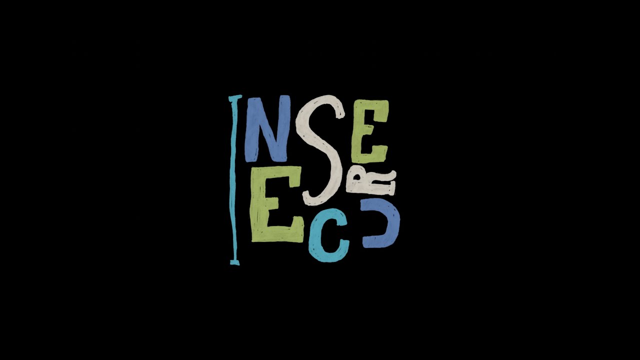 Insecure Lyrics