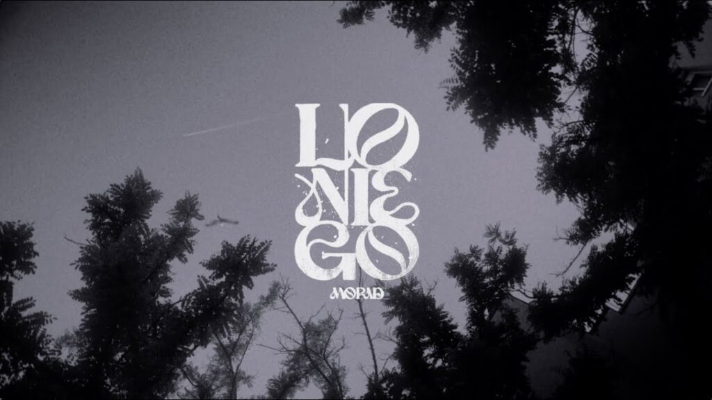 Lo Niego Lyrics