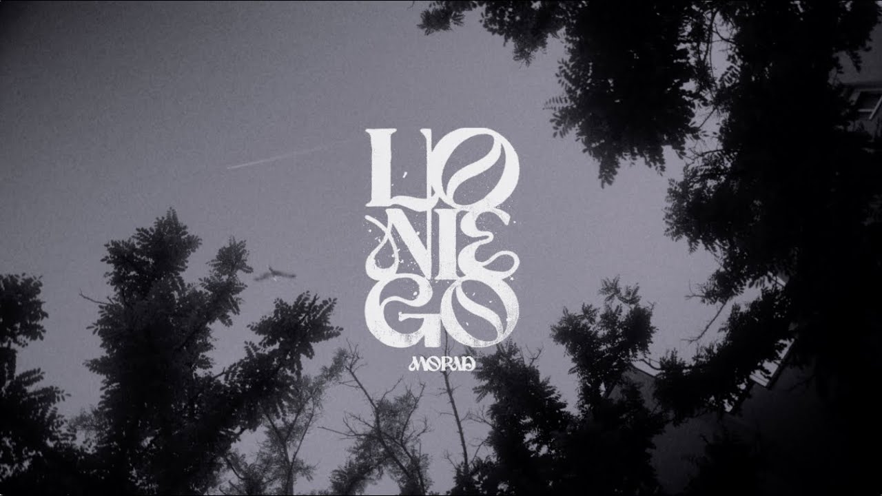 Lo Niego Lyrics