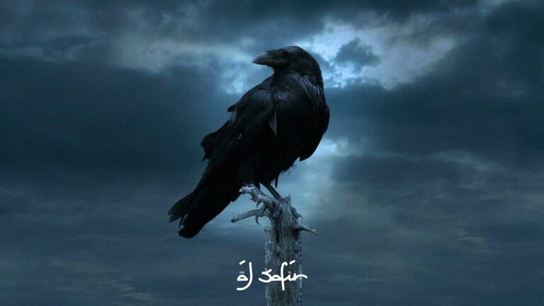 shars / 2023 Lyrics In English Translation|