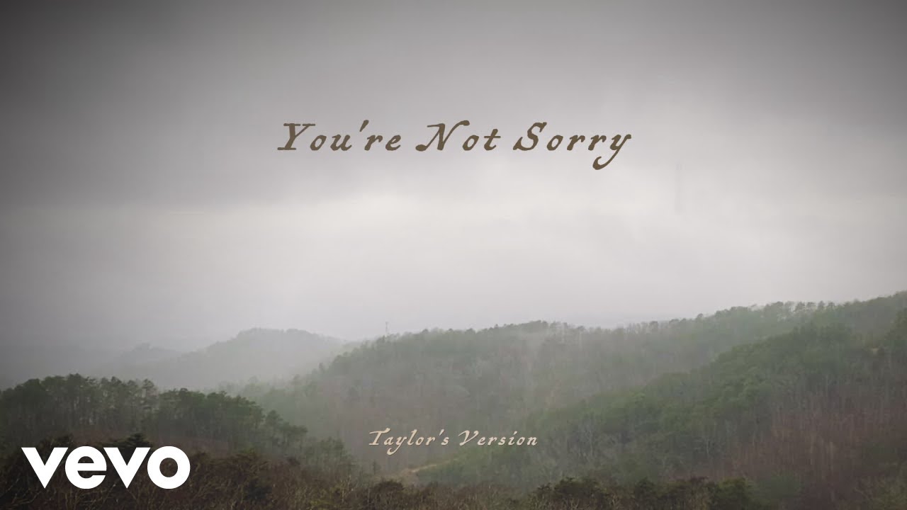 Shouldve Said No / Youre Not Sorry Lyrics