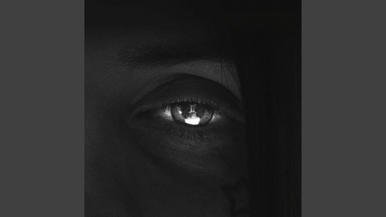 (The Age of Euthanasia) Lyrics