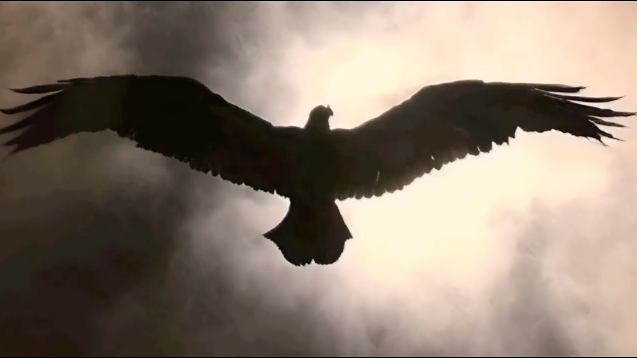 Vultures (Havoc Version) Lyrics