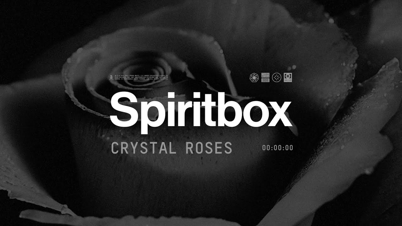 Crystal Roses Lyrics