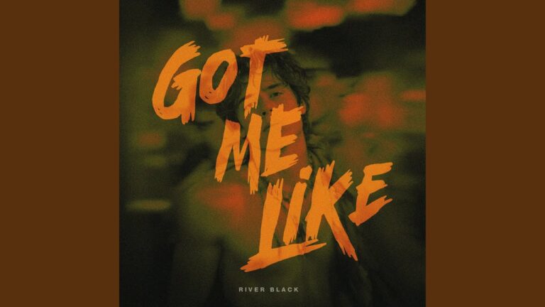 GOT ME LIKE... Lyrics