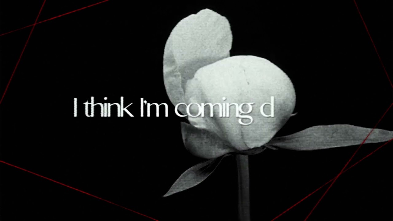 Friend Again Lyrics